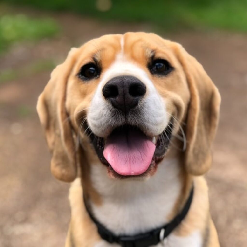 marliese-streefland-2l0CWTpcChI-unsplash