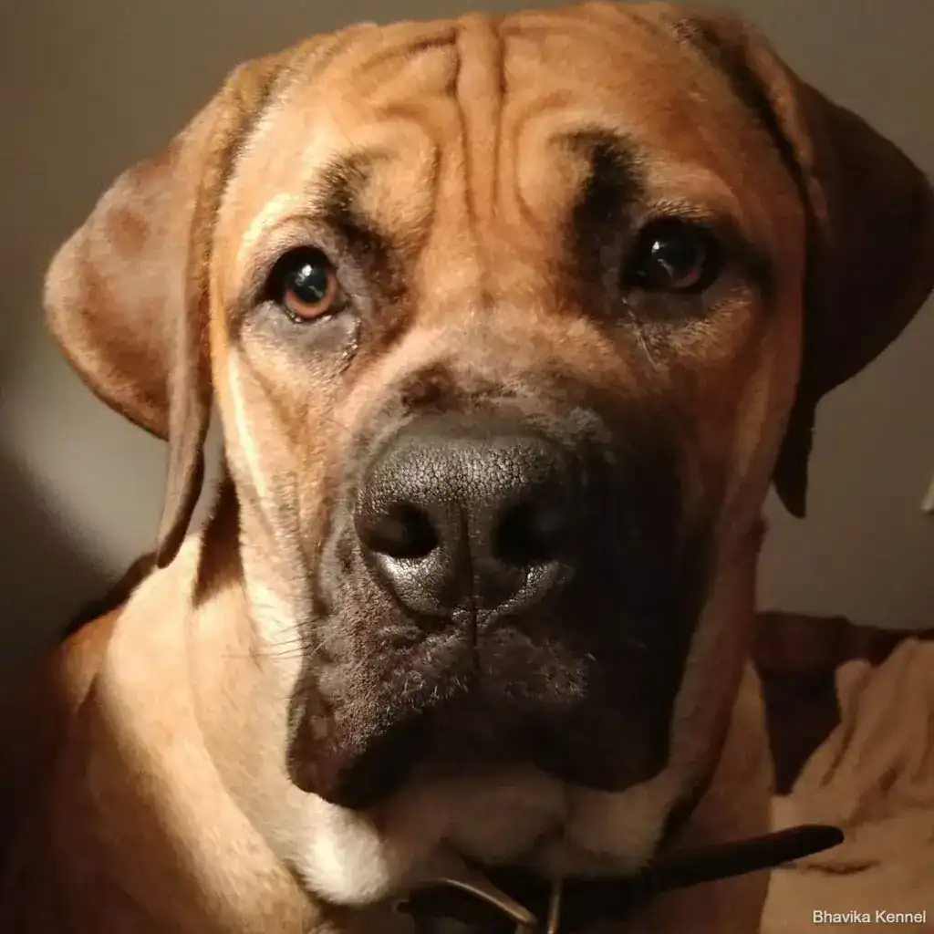 betsy-keating-tPzcDcq13Cg-unsplash