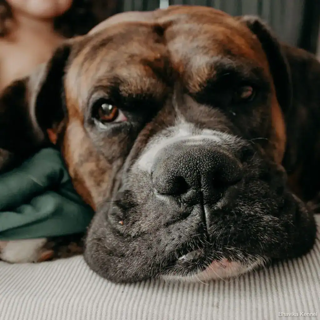 vanessa-serpas-mMolCwtrEss-unsplash