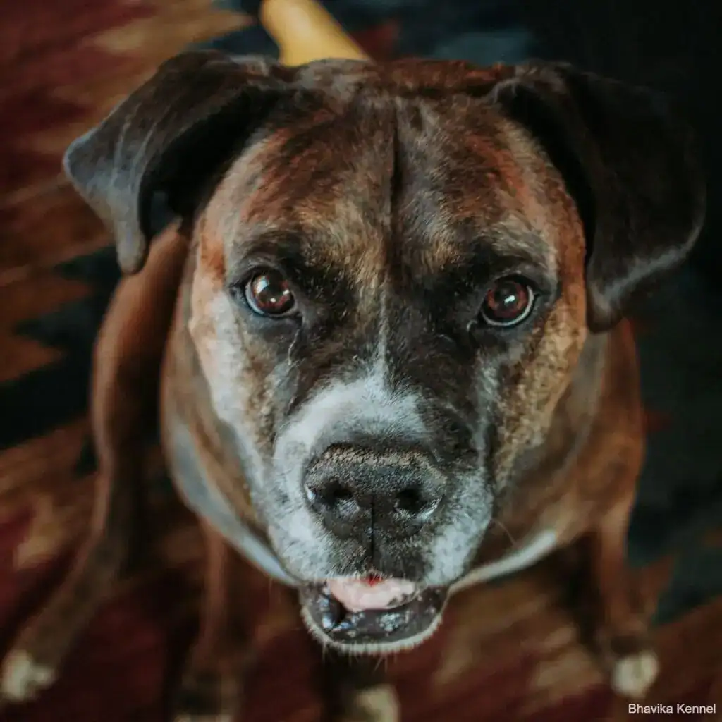 vanessa-serpas-sSg-V5M-3Jw-unsplash